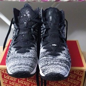 Nike LeBron James 17